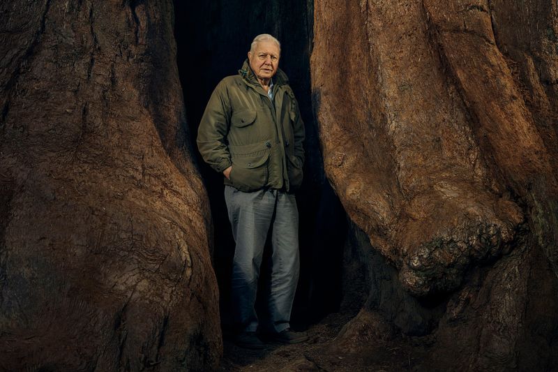 David Attenborough in „Der grüne Planet“.