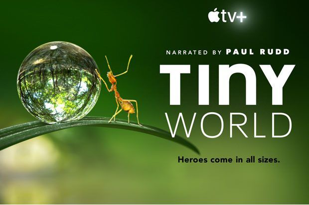 13 coole Fakten hinter den Kulissen und TV-Premieren aus Paul Rudds Tiny World