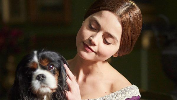Warum musste Victorias geliebter Hund Dash sterben?