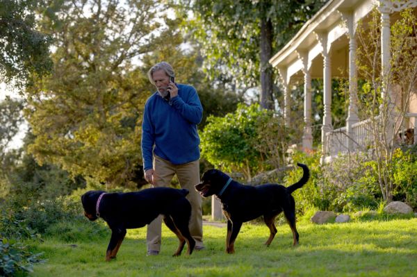 Dan Chase und seine zwei Hunde in The Old Man.