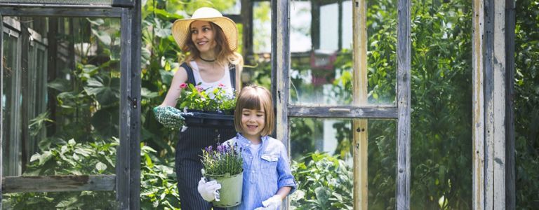 DIY-Gewächshaus-Ideen für Ihren Garten