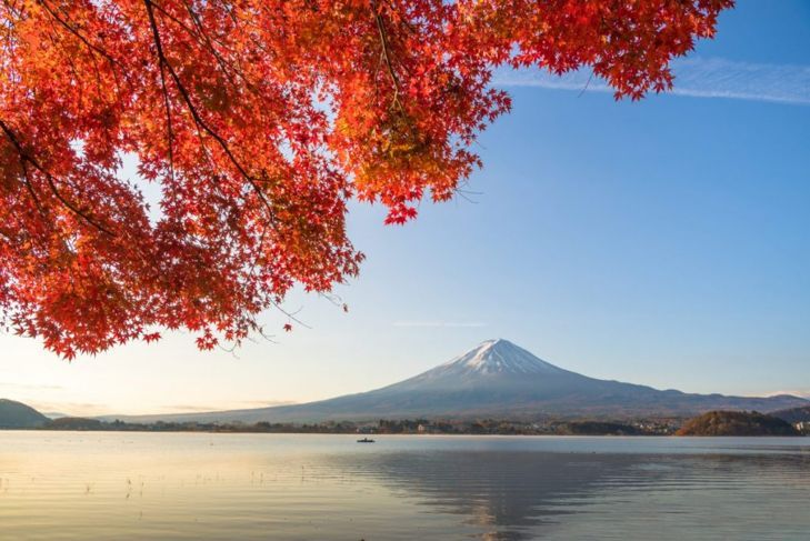Rote Ahornblätter umrahmen Mt. Fuji in Japan.