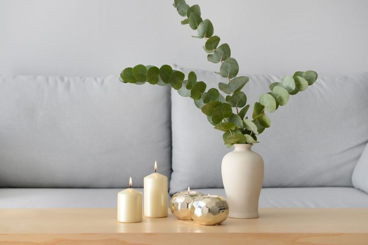 Eukalyptuszweige verleihen Ihrem Raum ein sauberes Aussehen und ein frisches Aroma.