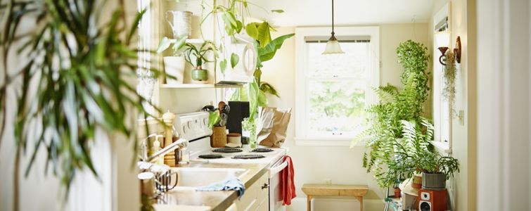 Farbideen, um die Küche zu Ihrem Lieblingsraum im Haus zu machen