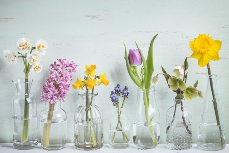 Vasen, Glaswaren, Dekoration, Stil