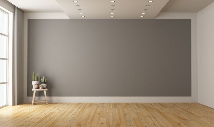 Leerer minimalistischer Raum mit grauer Wand im Hintergrund und Pflanze auf Holzhocker - 3D-Rendering Hinweis: Der Raum existiert in Wirklichkeit nicht, Immobilienmodell ist nicht erforderlich