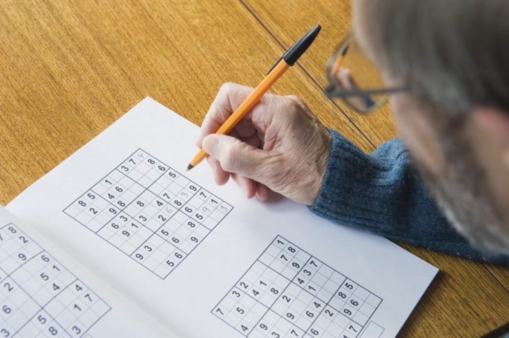 Senior Sudoku Umzugskartons