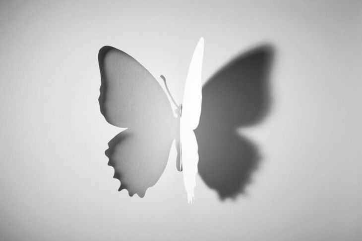 Schatten eines Schmetterlings