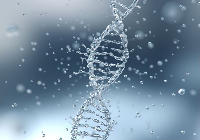 Kovalente DNA-Bindungen