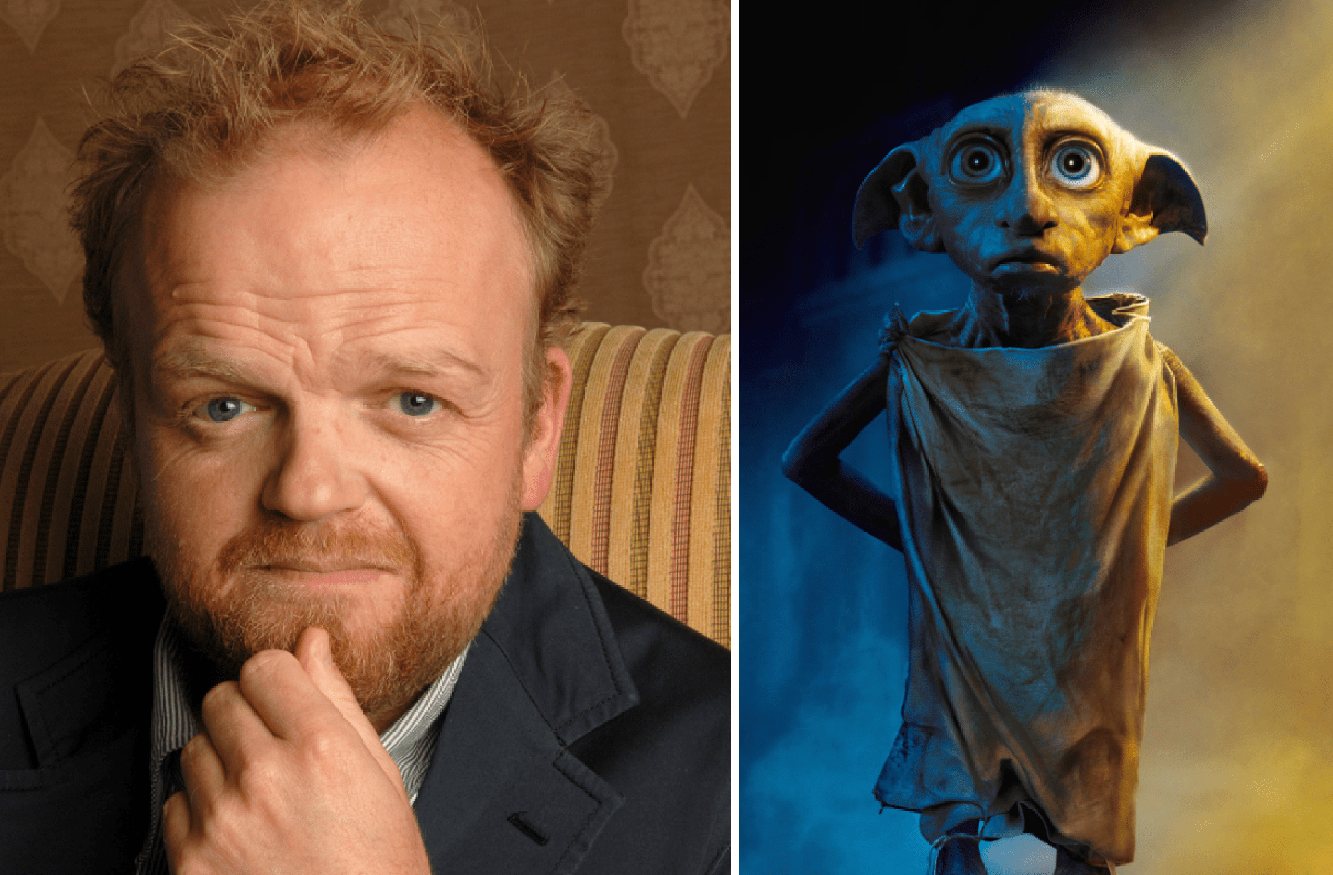 Harry Potter-Star Toby Jones will WIRKLICH seine Dobby-Stimme nicht für dich machen