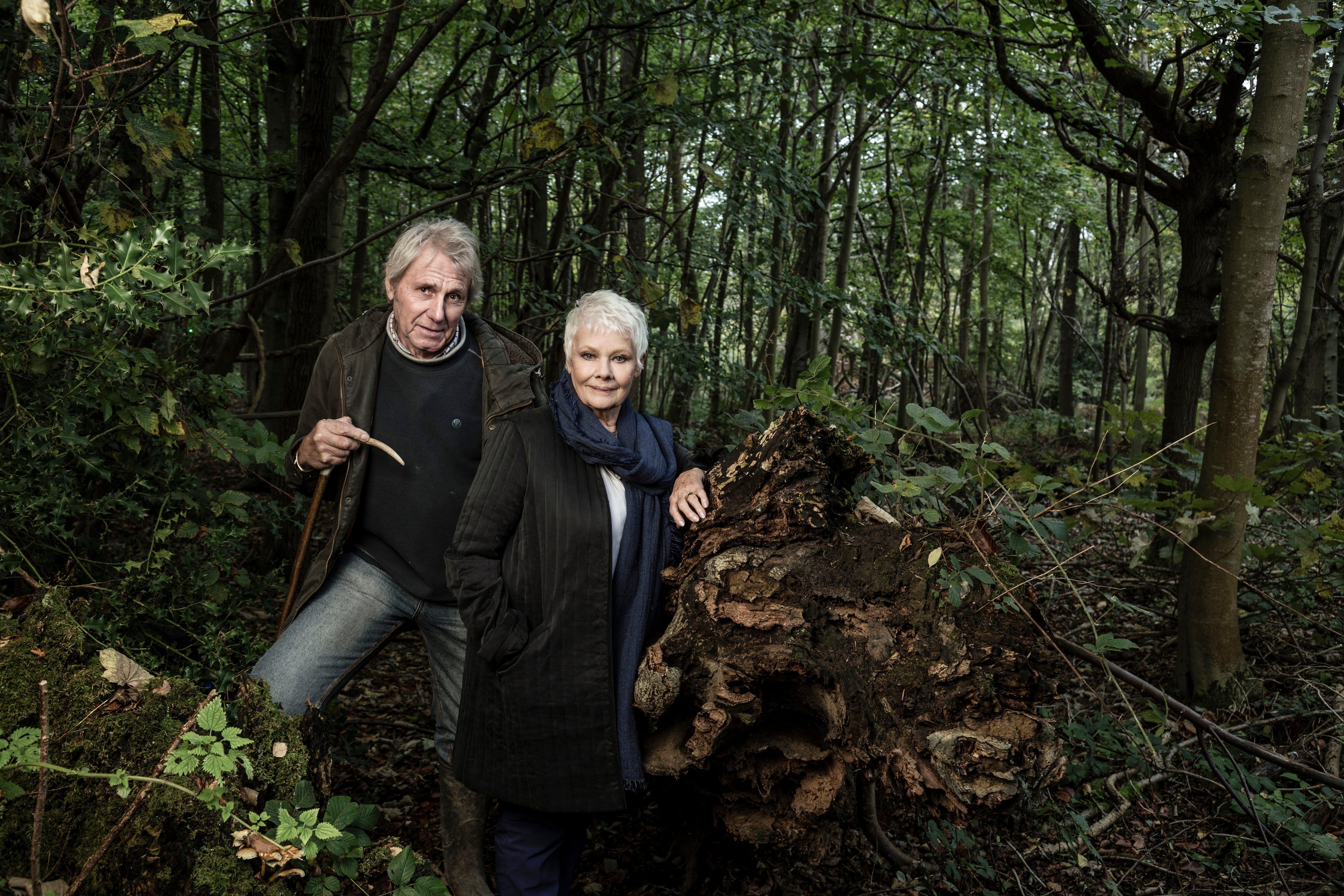 Meine Leidenschaft für Bäume: Judi Dench verrät, wie sie in ihrem geheimen Wald Trost gefunden hat